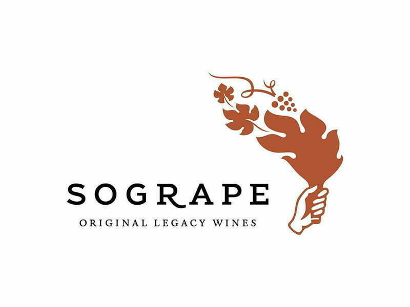 Sogrape é uma das mil empresas mais inspiradoras da Europa