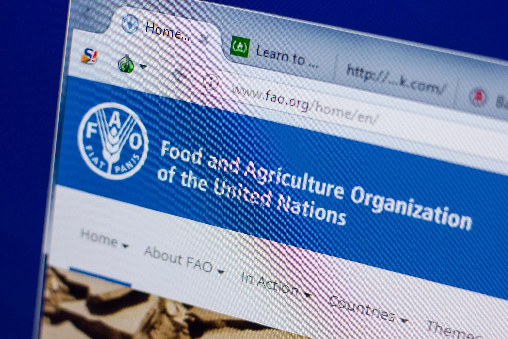 Preços mundiais dos produtos alimentares continuam a descer em junho