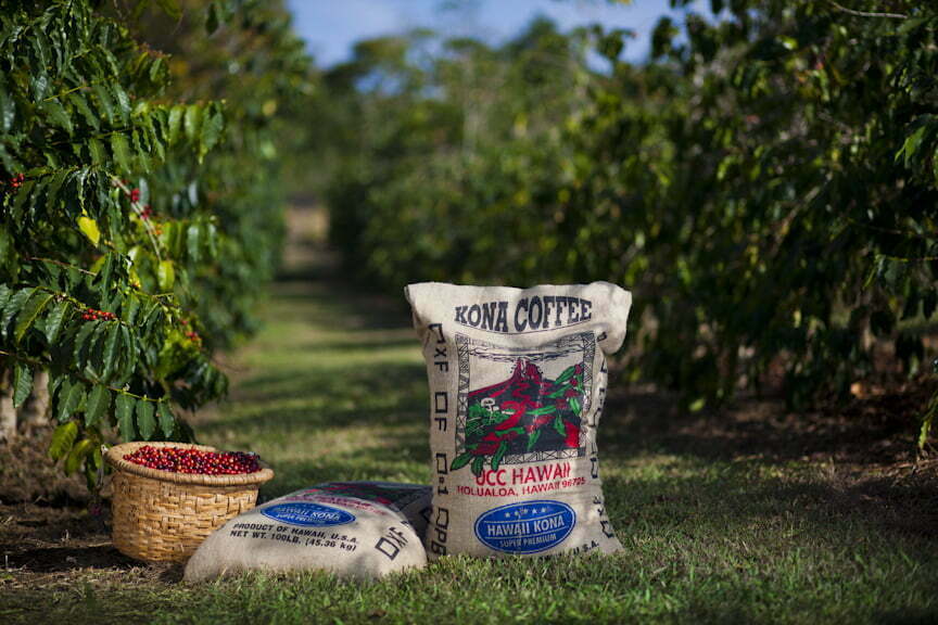 UCC Coffee reforça presença em Portugal