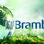 brambles