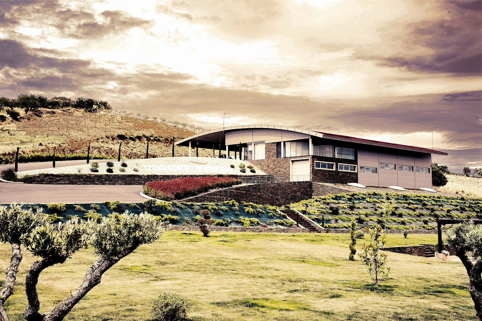 Vinalda distribui vinhos da Quinta Vale D’Aldeia