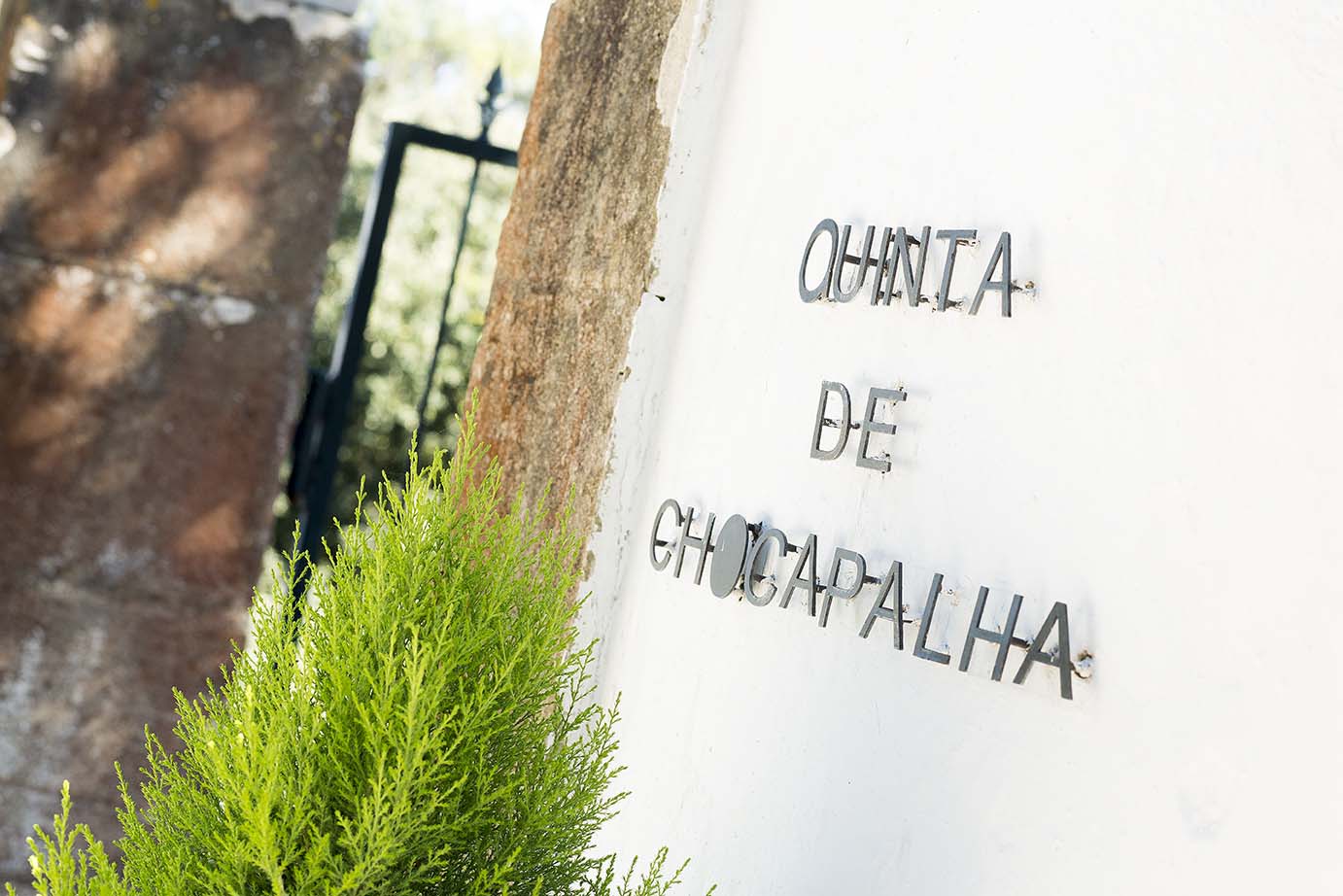 Colheitas de 2018 da Quinta de Chocapalha chegam ao mercado
