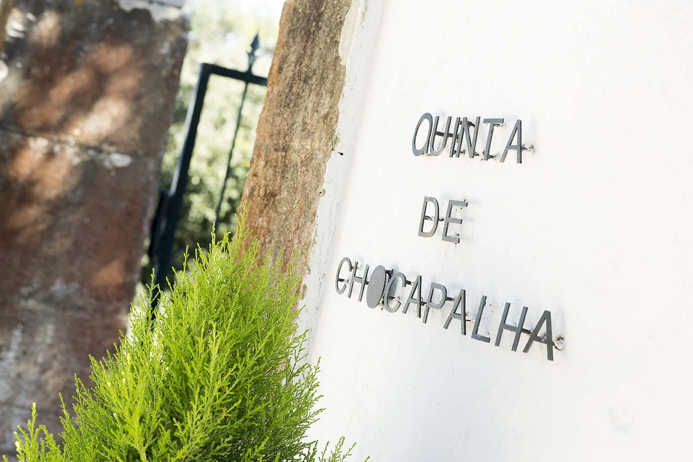 Colheitas de 2018 da Quinta de Chocapalha chegam ao mercado
