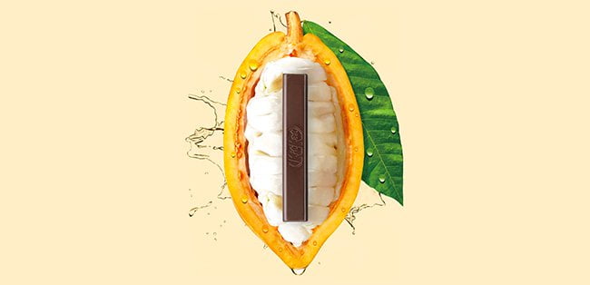 Nestlé apresenta chocolate feito apenas com o fruto de cacau