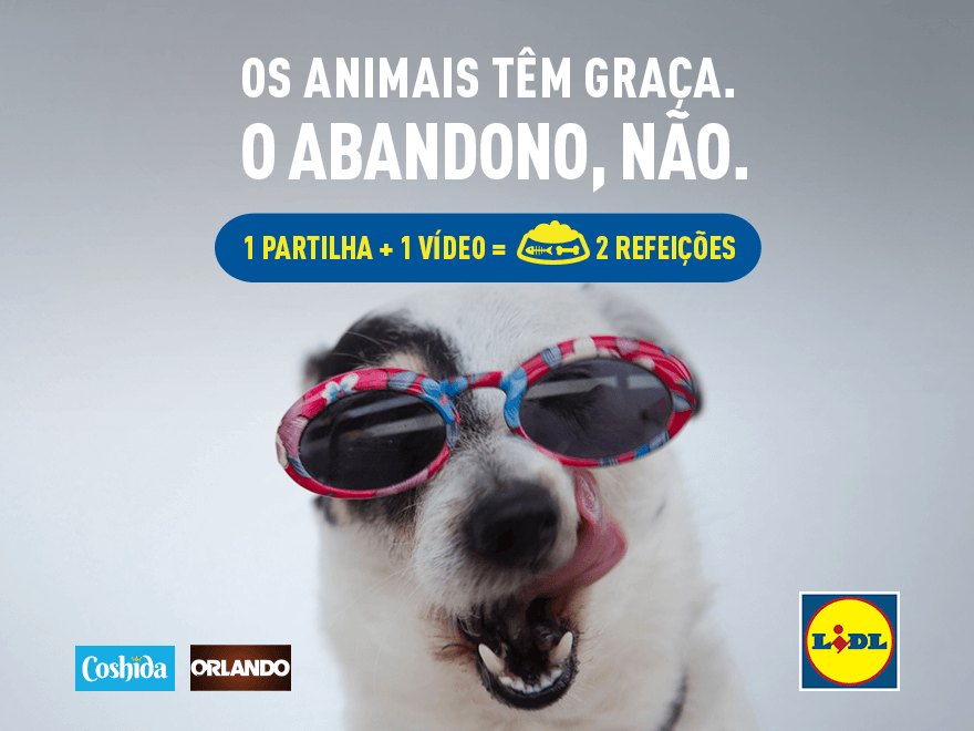 Lidl lança campanha de sensibilização contra o abandono animal