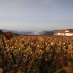 Quinta de Lemos