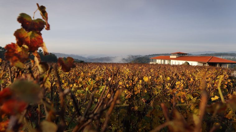 Quinta de Lemos