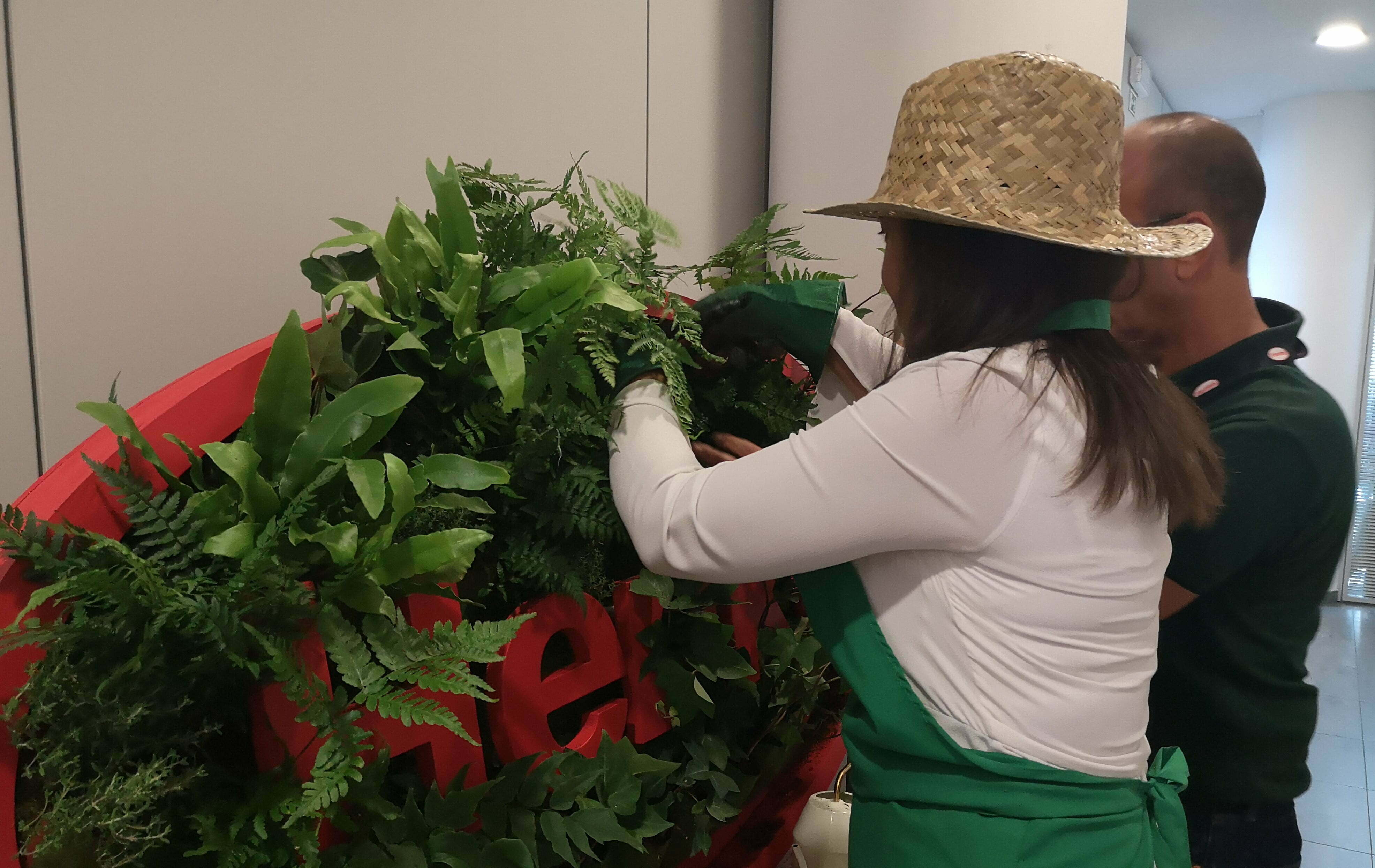 Funcionários da Henkel Ibérica criaram um jardim vertical solidário