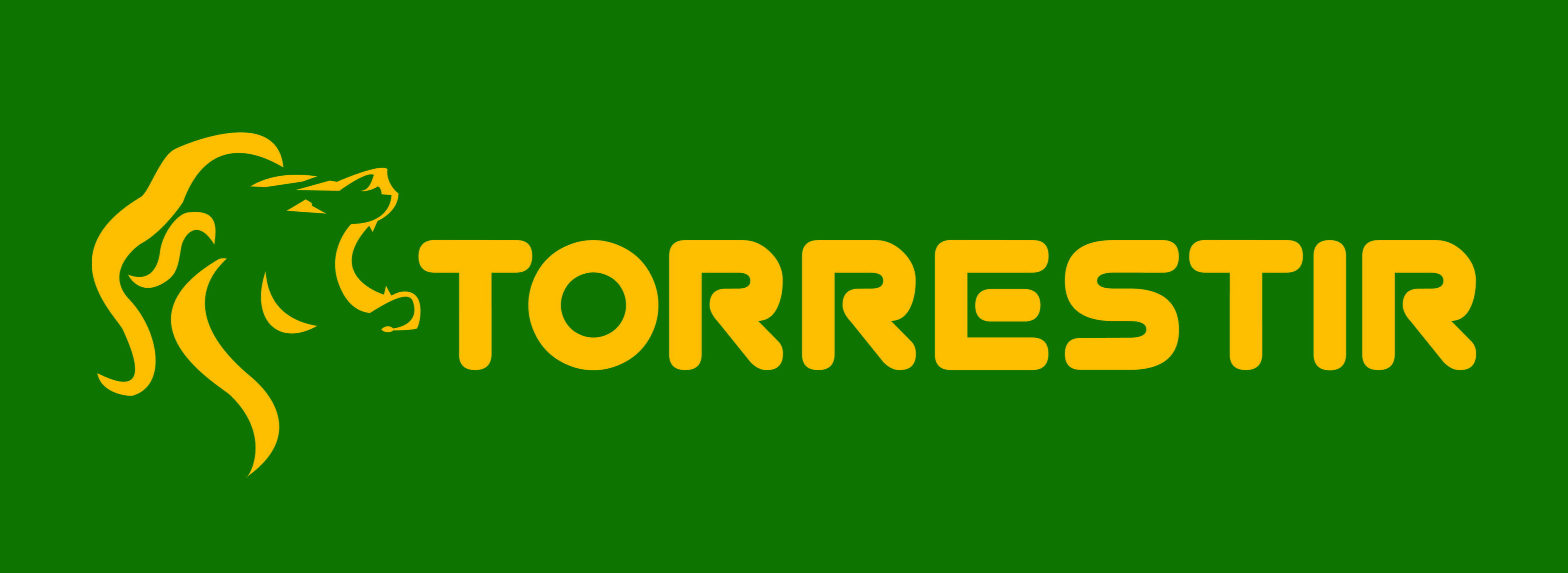 Torrestir cria novas parcerias estratégicas e amplia alcance na Europa