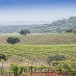 Alentejo
