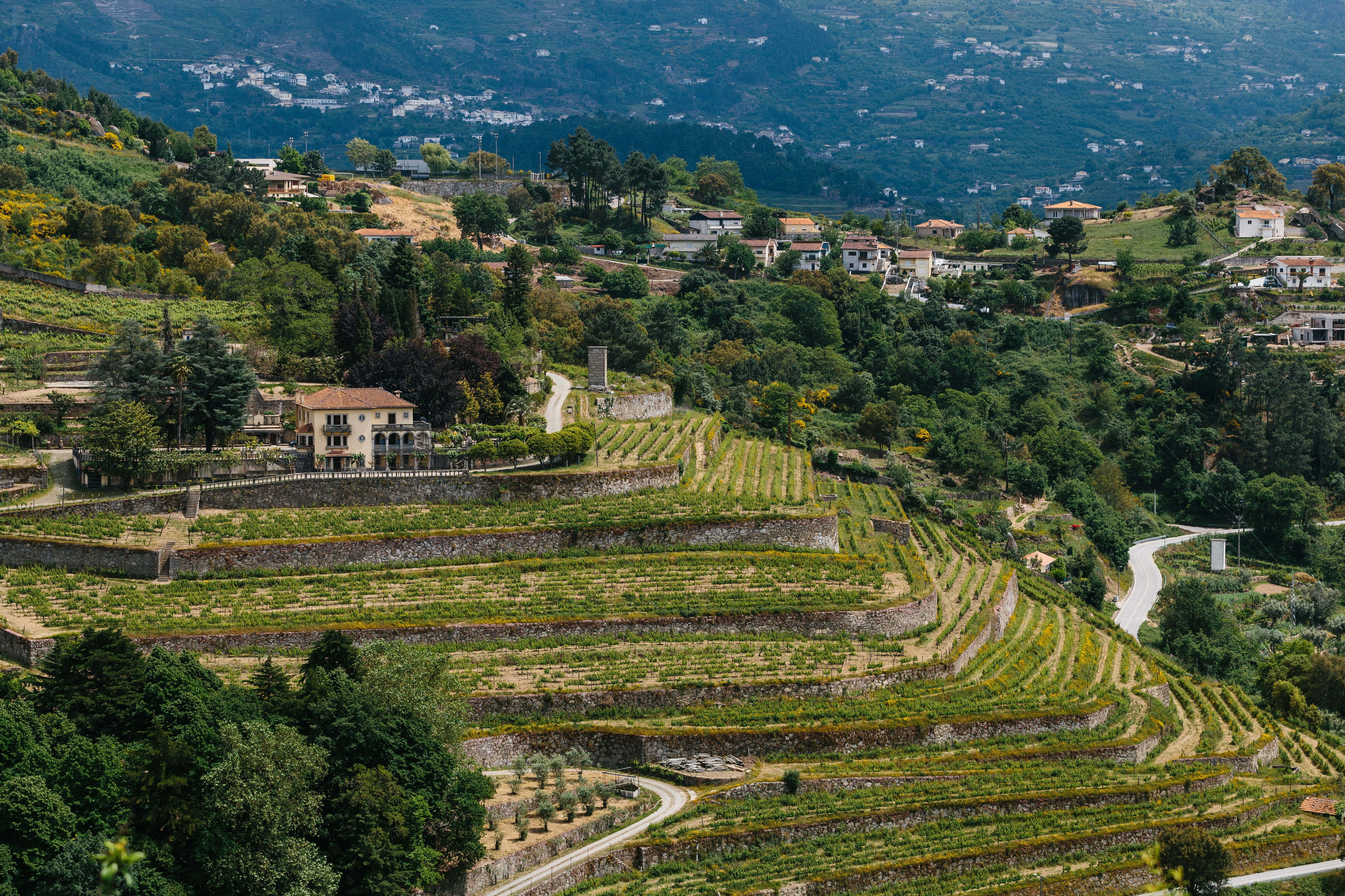 A&D Wines alarga mercados de exportação em 2019