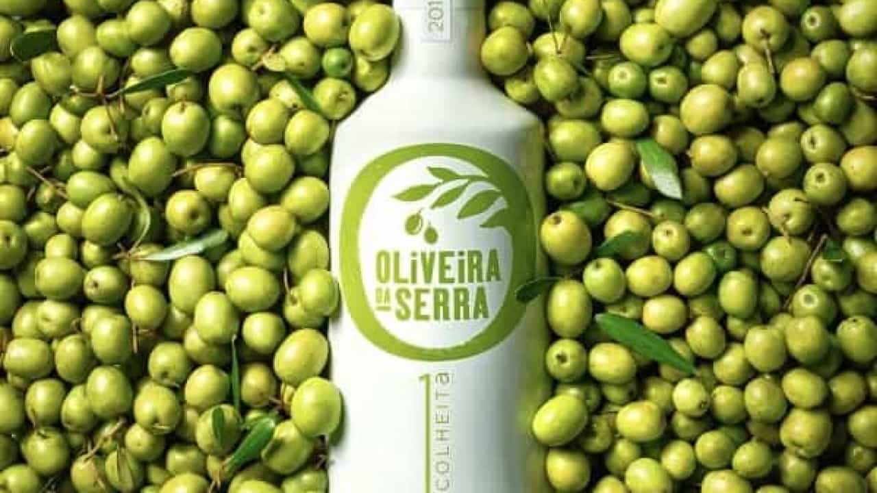 Oliveira da Serra lança a 1.ª Colheita 2019/2020