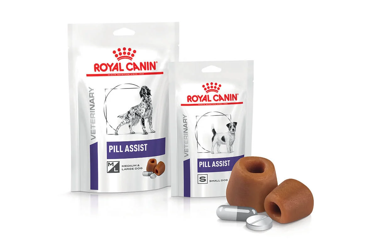 Royal Canin lança suplemento alimentar que facilita a vida dos tutores que têm de dar medicação aos seus cães
