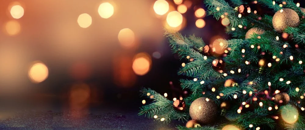22% dos portugueses têm práticas sustentáveis no Natal