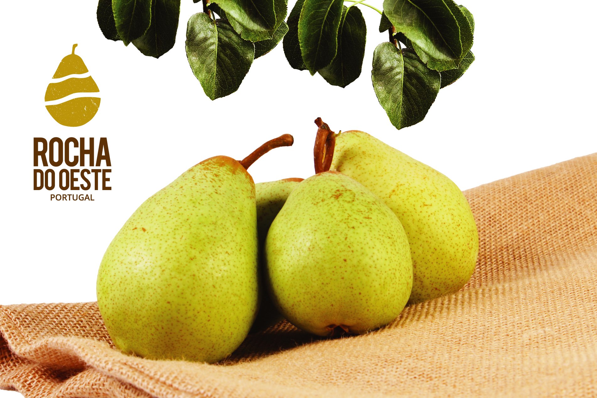 Promoção da Pera Rocha do Oeste  deu visibilidade nos mercados externos