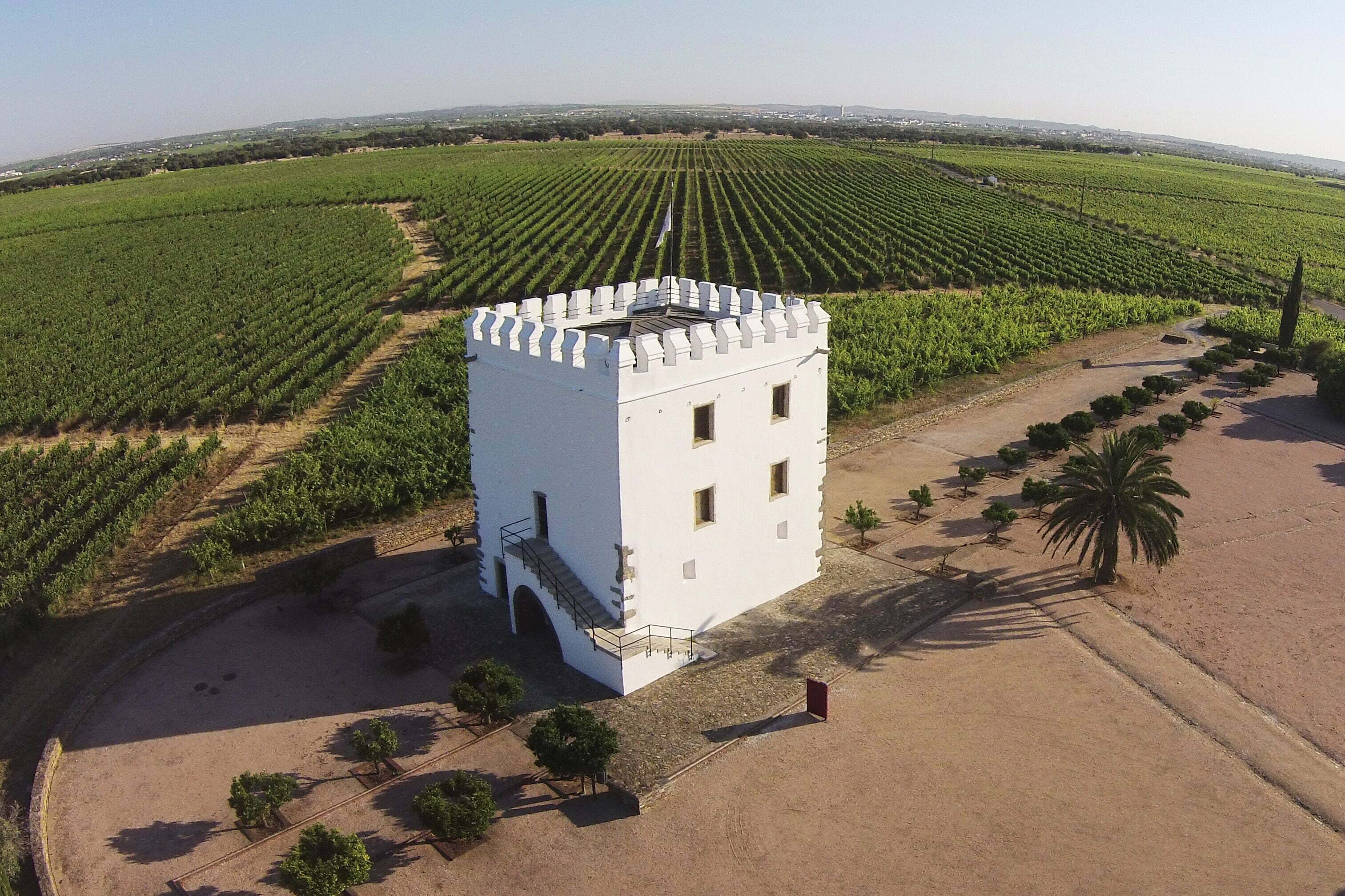 Esporão apoia a campanha Agroambientais sem Glifosato/Herbicidas