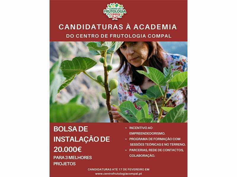 Fruticultores do futuro podem candidatar-se à Academia do Centro de Frutologia Compal