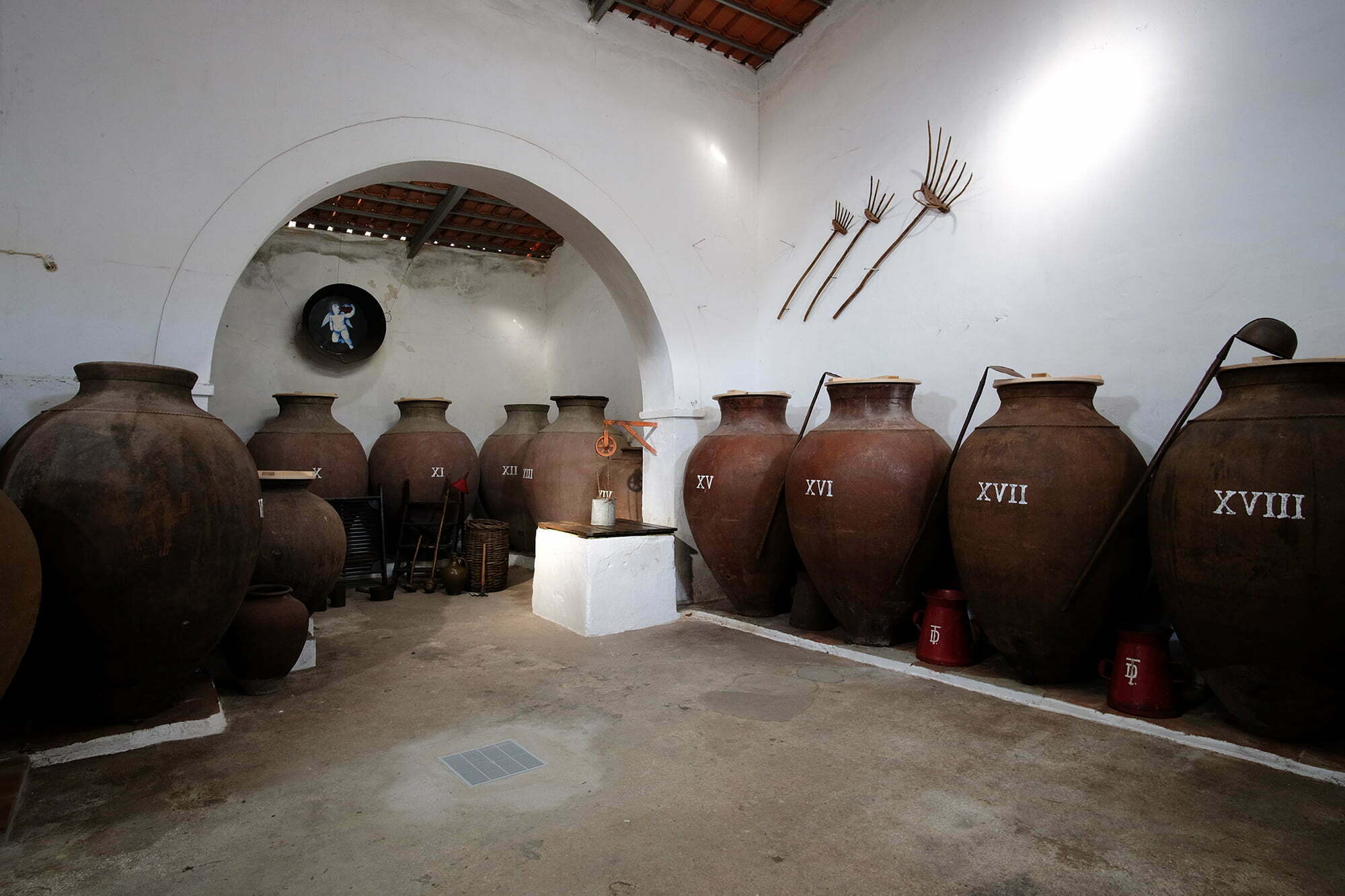 XXVI Talhas integra portfólio da Vinalda