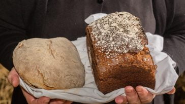 mercearia Gonçalves & Freire