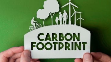 pegada de carbono