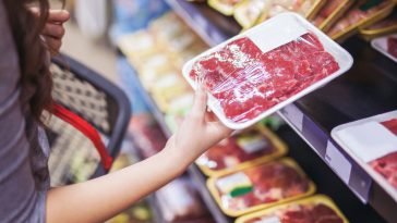 alternativas à carne irão representar 60% do consumo cárnico em 2040,