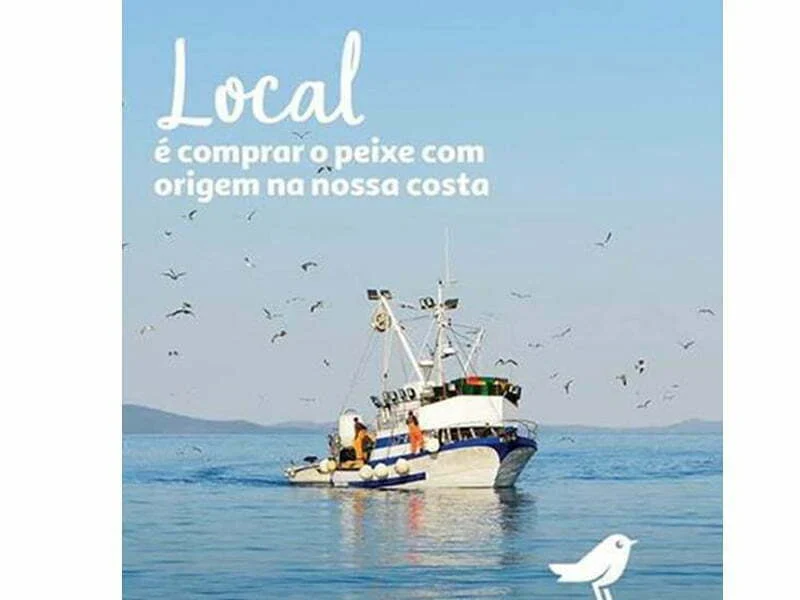 Auchan passa a vender peixe dos Açores