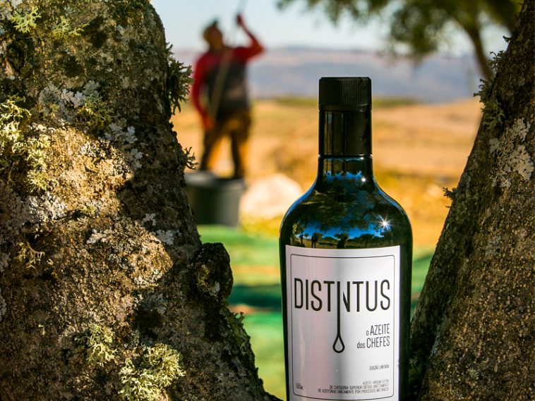 Distintus