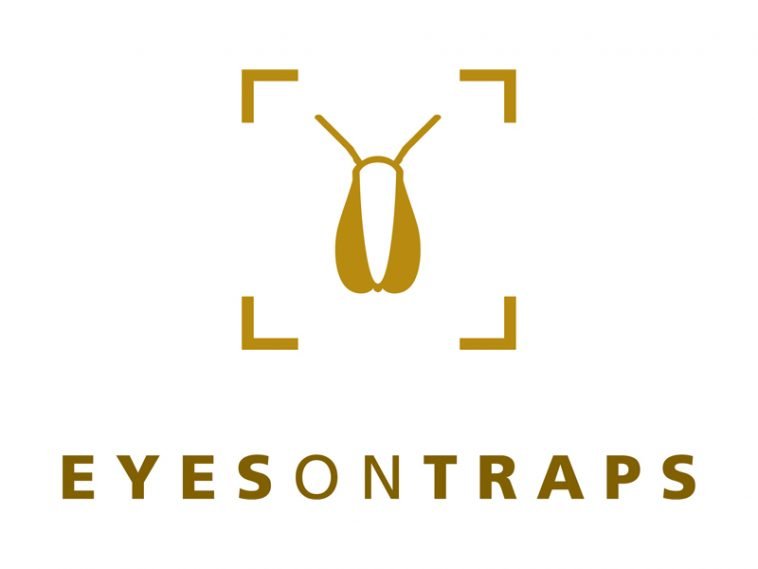 Eyes on Trap
