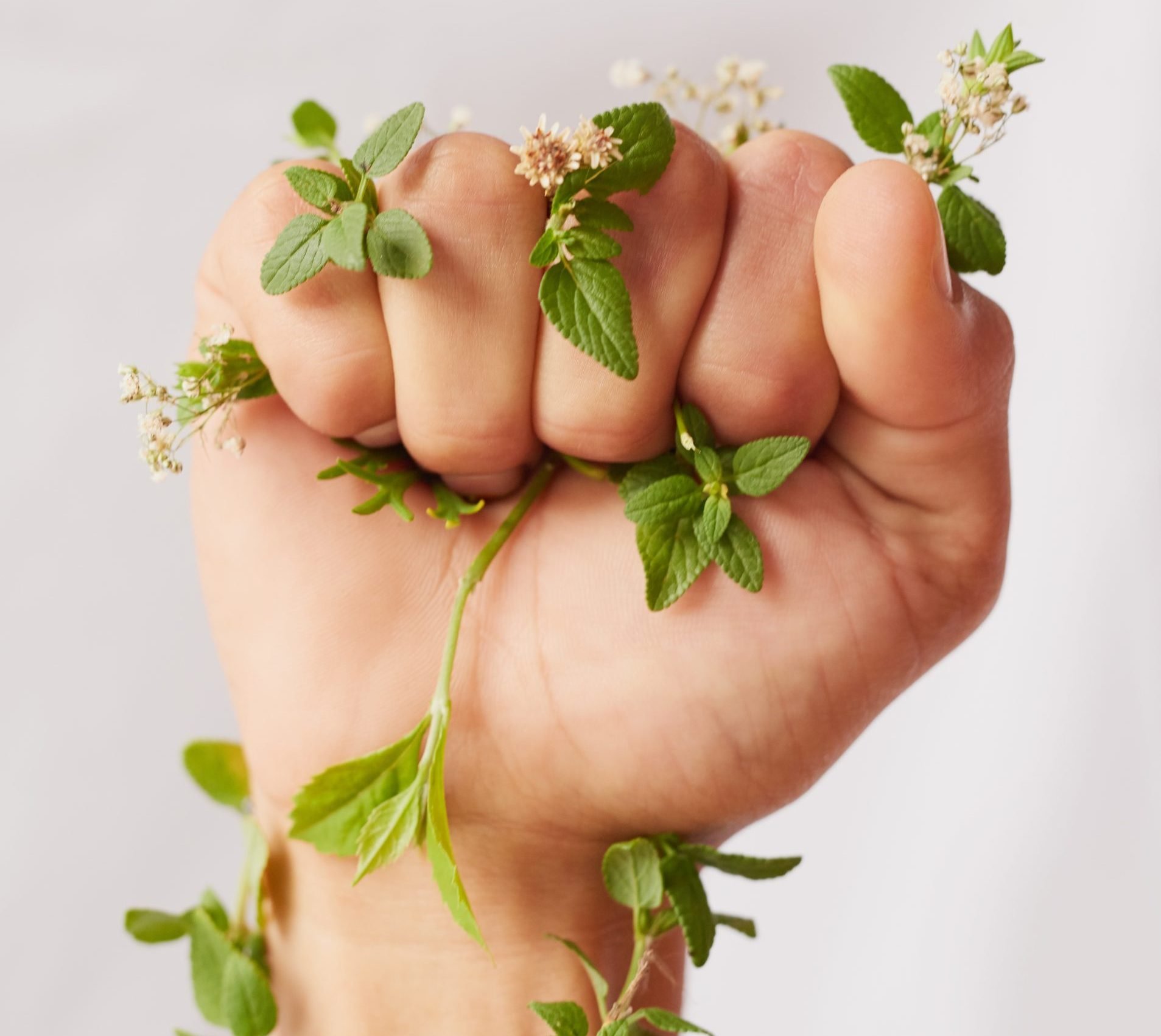 Lancôme recorre às ciências verdes para moldar o futuro da beleza