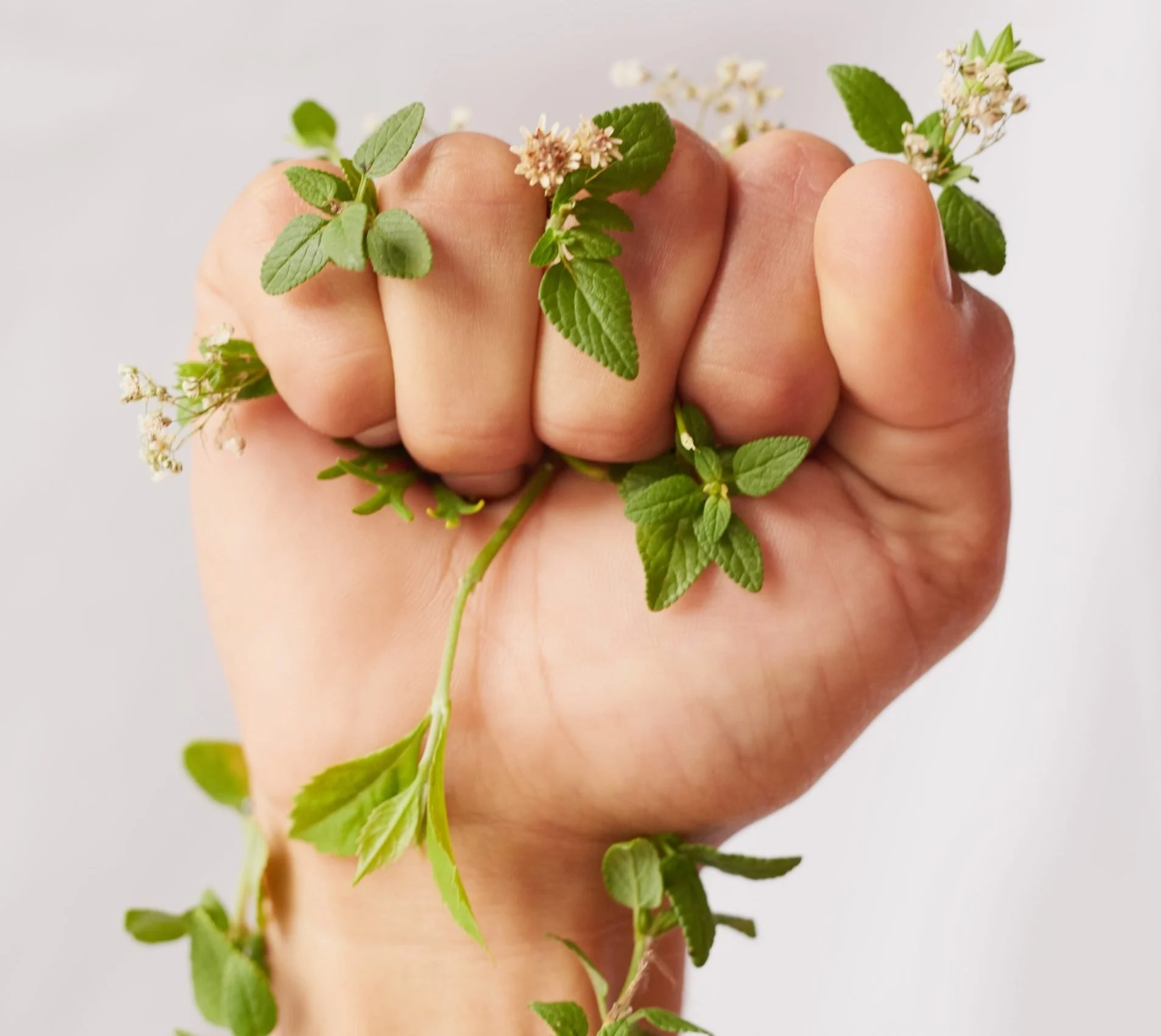 Lancôme recorre às ciências verdes para moldar o futuro da beleza