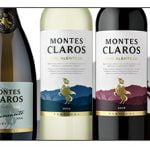 Montes Claros