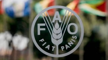 FAO Preços mundiais