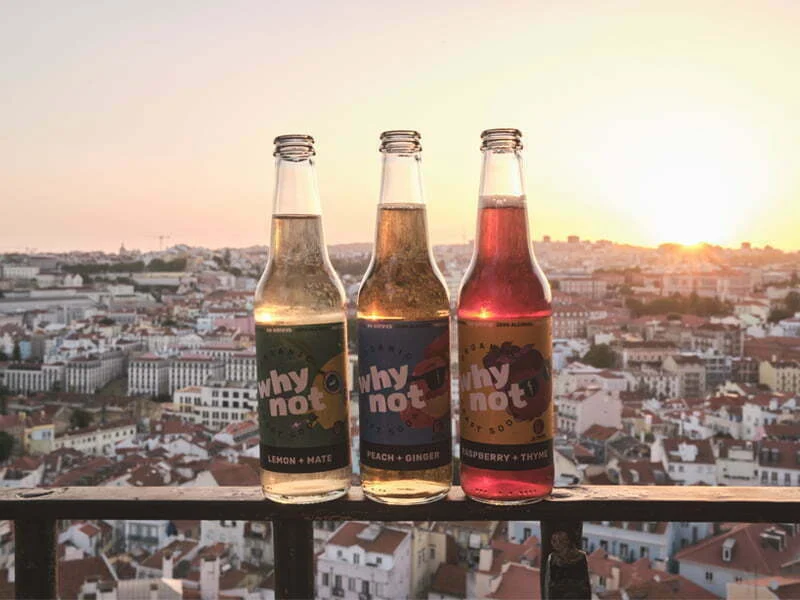 Chegaram os novos sabores Why Not Soda