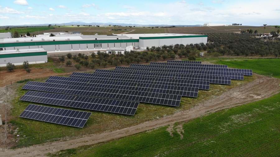 Nova Delta instala 800 painéis solares em Campo Maior