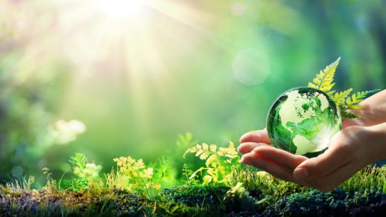 Sustentabilidade