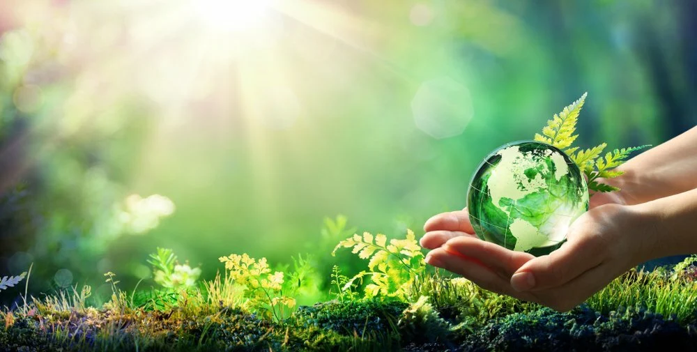 Sustentabilidade