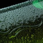 Carlsberg