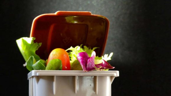 Parlamento Europeu aprova novas regras para reduzir desperdício alimentar e têxtil na União Europeia