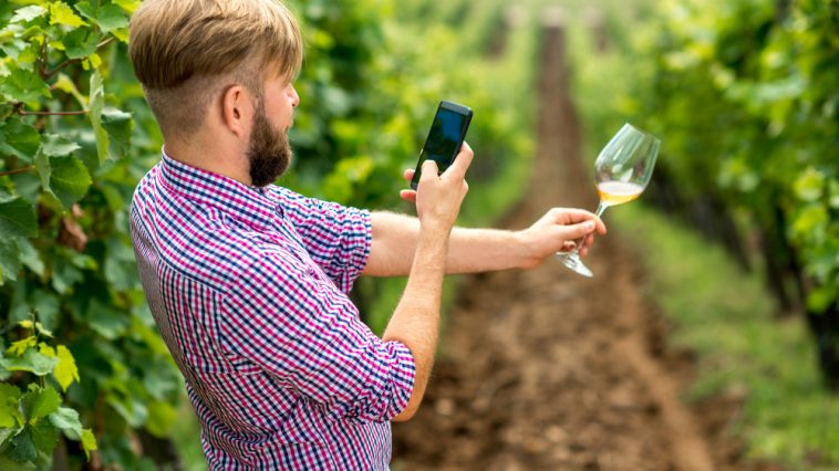 Vinho nas redes sociais
