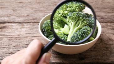 #Safe2Eat segurança alimentar