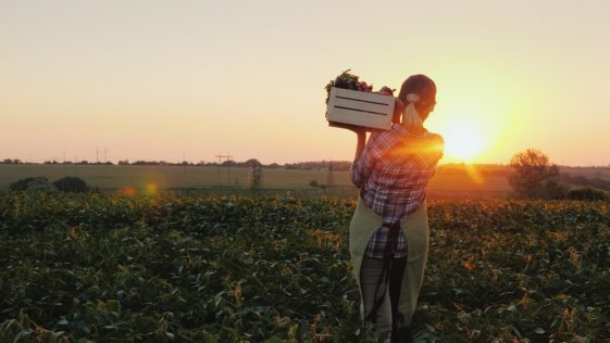 excedente comercial agroalimentar UE