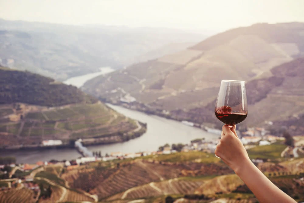 Agricultores do Douro contestam lei que impõe uso exclusivo de aguardente vínica da região no Vinho do Porto