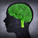 Ilustração da cabeça humana com cérebro em vez de brócolis