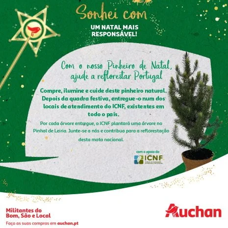 Pinheiros de Natal da Auchan vão ajudar a reflorestar o pinhal de Leiria