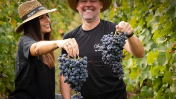 Casal Maniche na Qta da Pacheca_SD