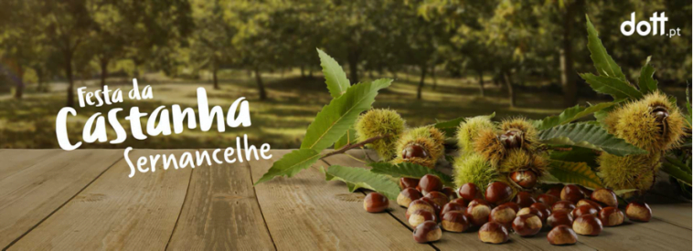 Festa da Castanha de Sernancelhe