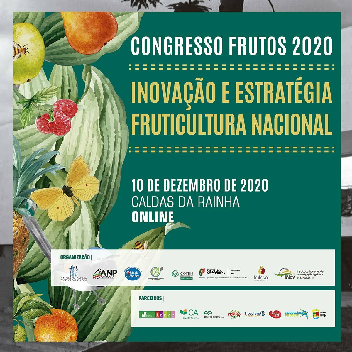 Compal apoia a Inovação e Estratégia da Fruticultura Nacional