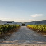 Adega Caminhos Cruzados