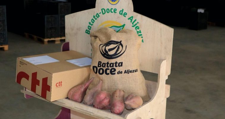 Batata Doce de Aljezur