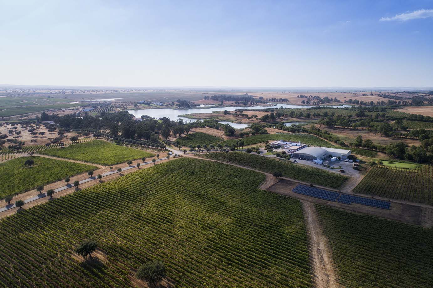 Alentejo estima aumentar produção entre 5% e 10%